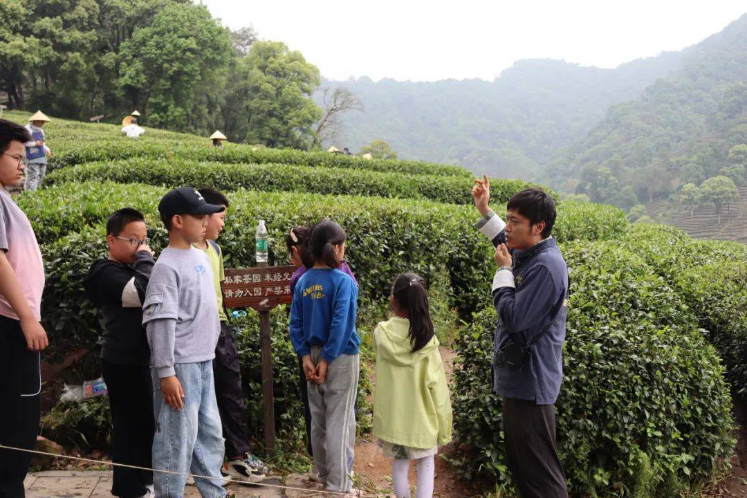 丨中茶博宣教文旅部编辑丨王一潇初审丨王一潇复审丨赵燕燕终审丨林晨
