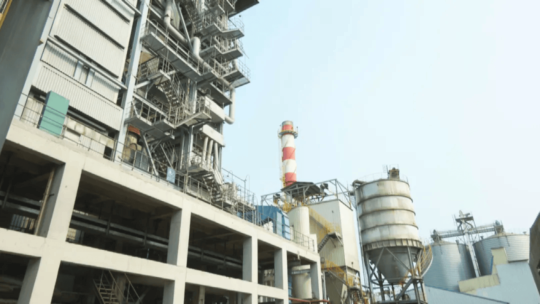 助力海南"清洁能源岛"建设!儋州洋浦构建绿色低碳发展新格局