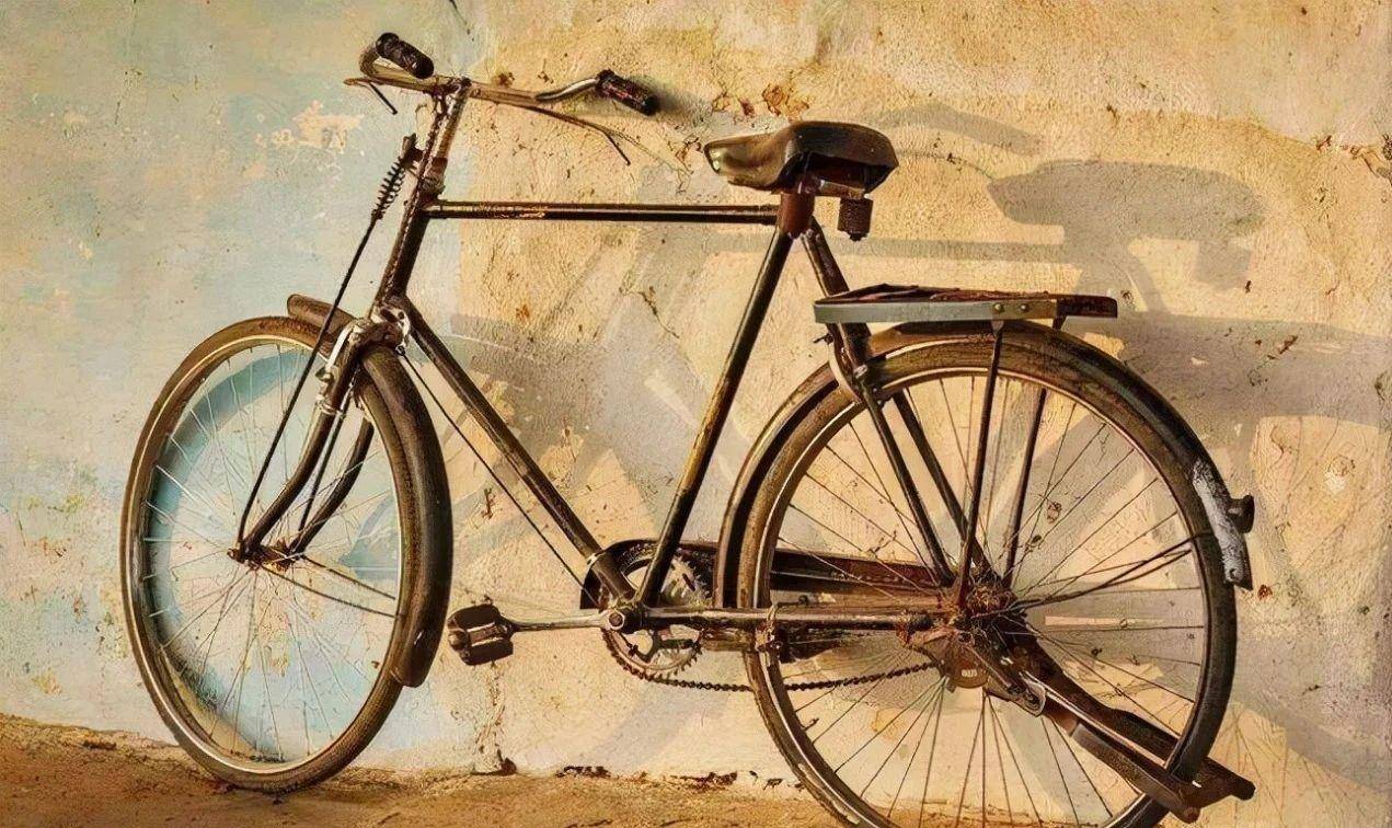 狗群买了一辆自行车