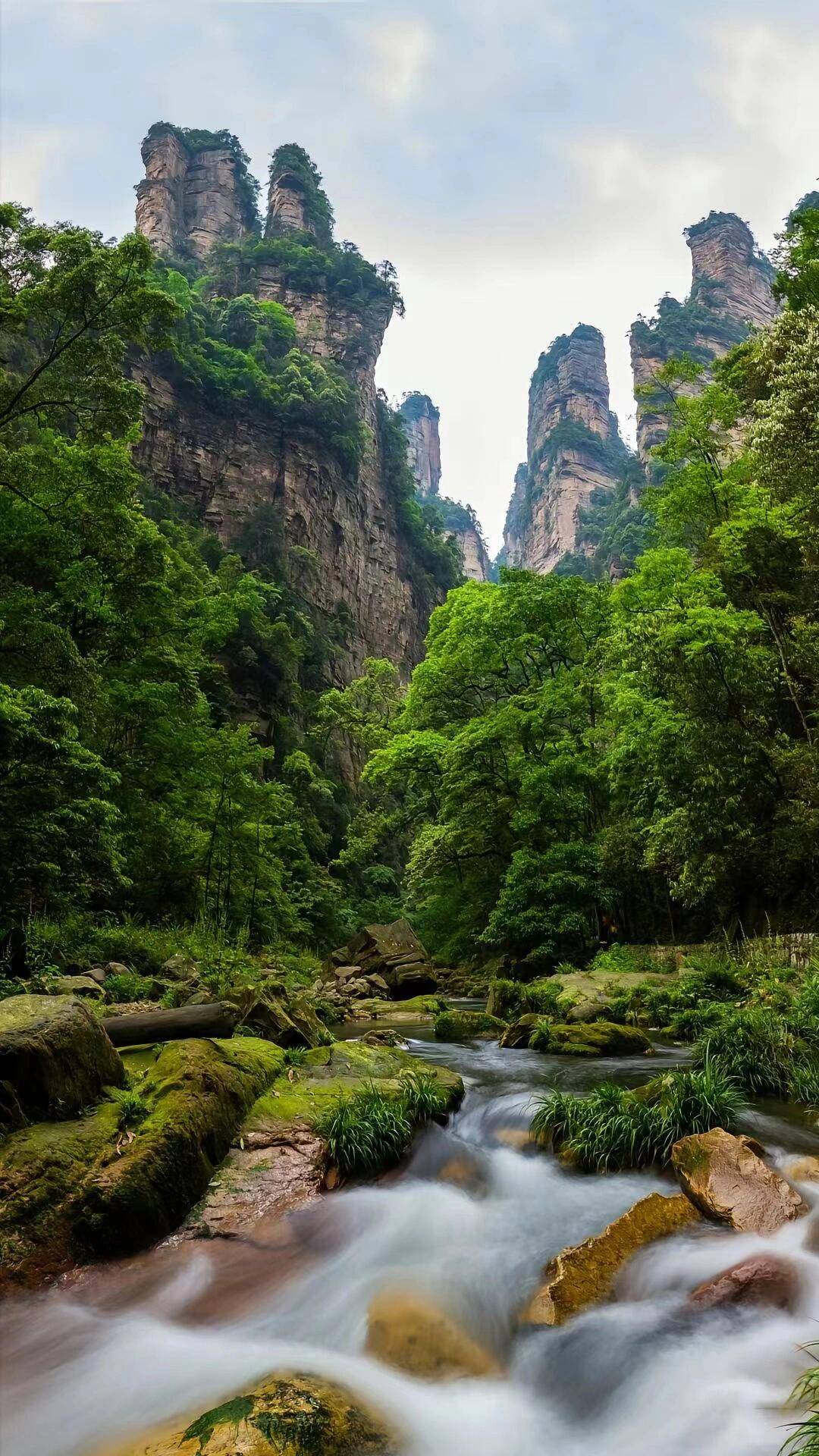 邵阳去张家界旅游团价格,费用多少 ,新手抄作业