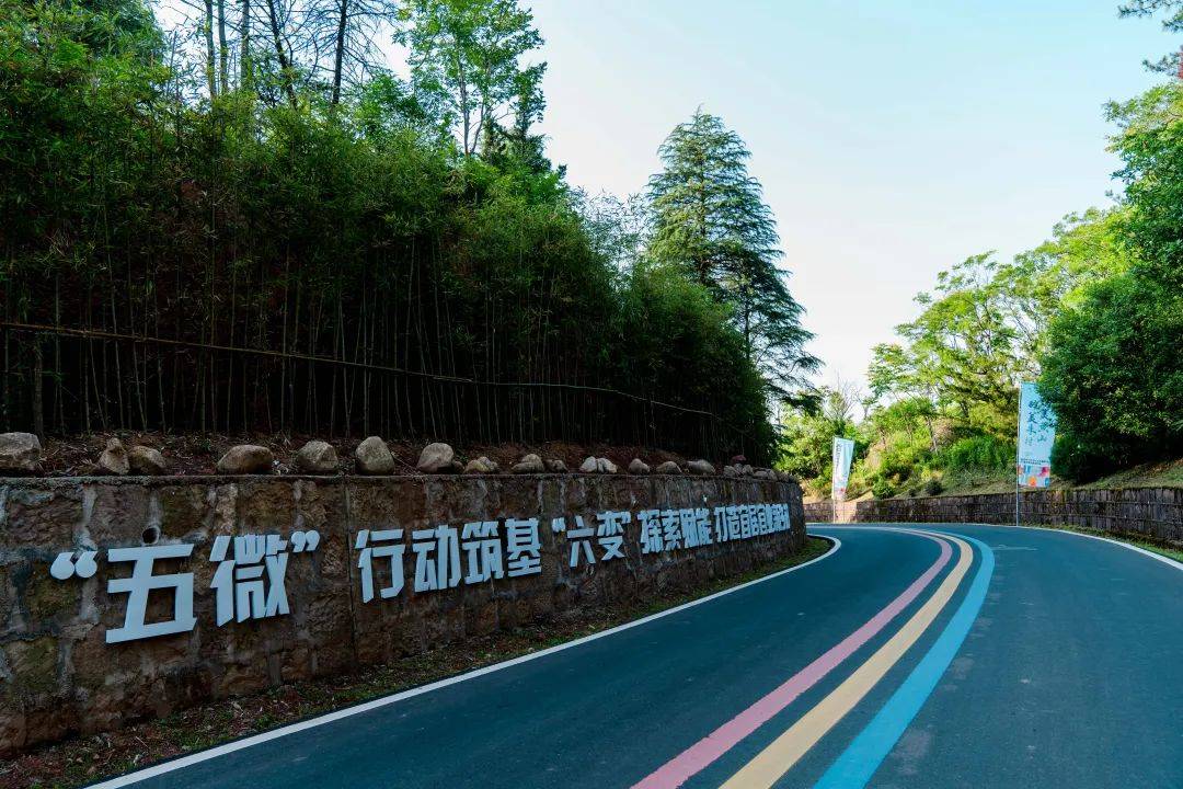 【乡村运营】屯溪区奕棋镇:笃行实干绘新景 谱写农业农村高质量发展新