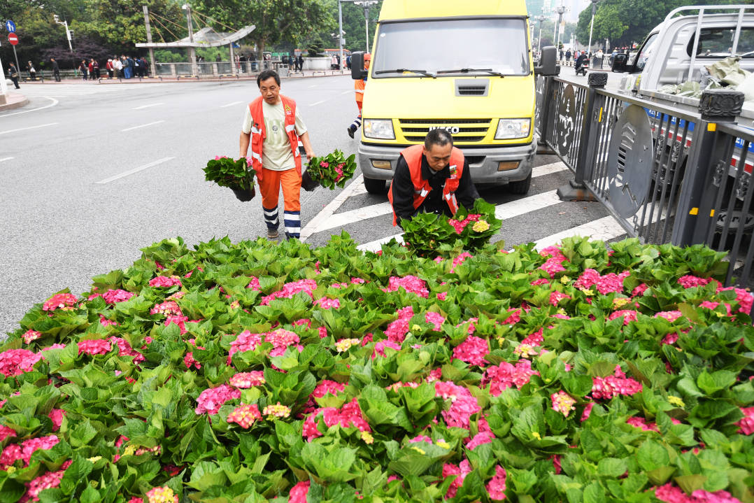 🌸海外网 【澳门一肖一码100准免费资料】_2024年一线城市青年消费趋势报告