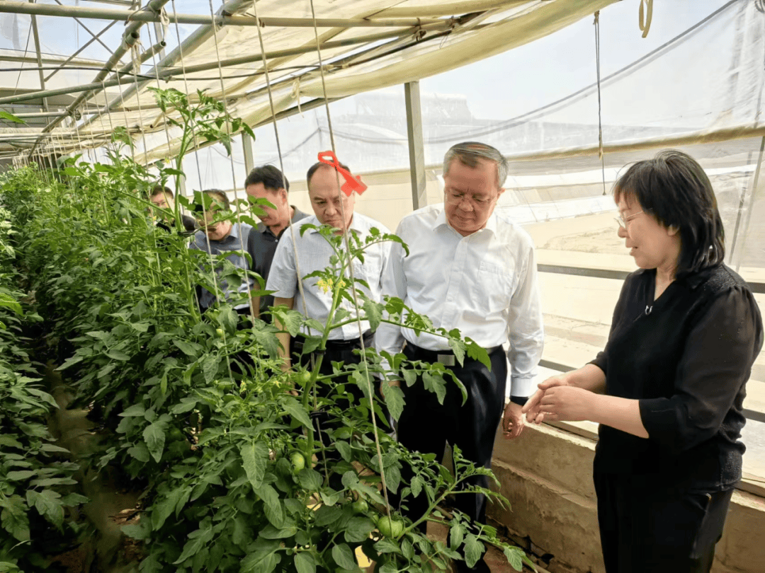 董仚生到省农林科学院调研