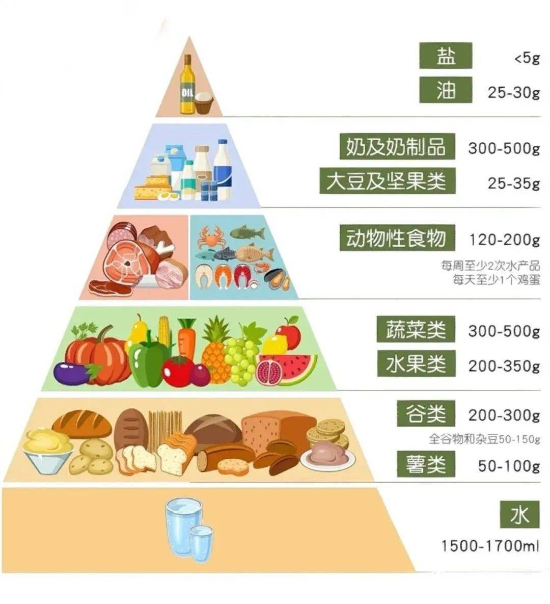 卫你而来61周四相健 营养均衡膳食指南2024