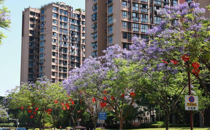 中国纪检监察报:管家婆一肖一码最准-城市：国家卫健委：城市三级医院将开展县乡巡回医疗  第6张