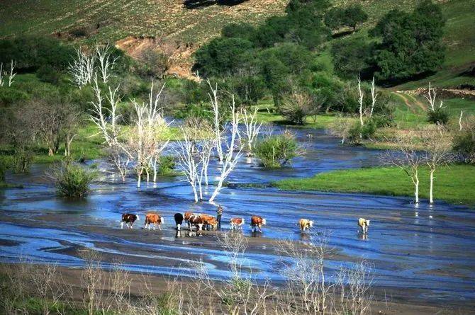 【承德避暑 坝上草原】北京-承德-坝上草原-木兰围场双飞六天