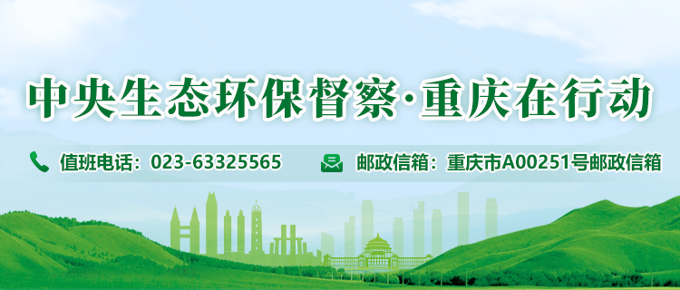 中央第六生态环境保护督察组向重庆市交办第七批群众信访举报件103件