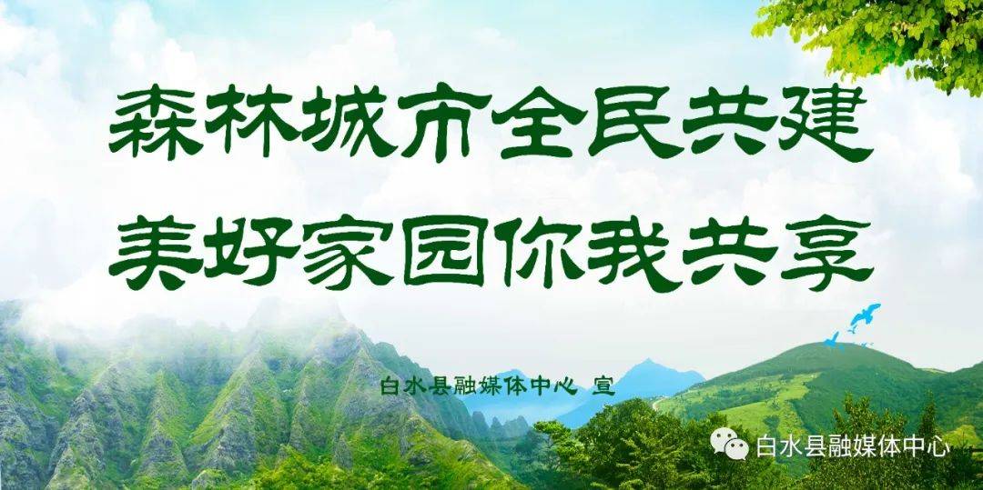 白水县医院:医联体合作助发展 "近享"服务惠民生