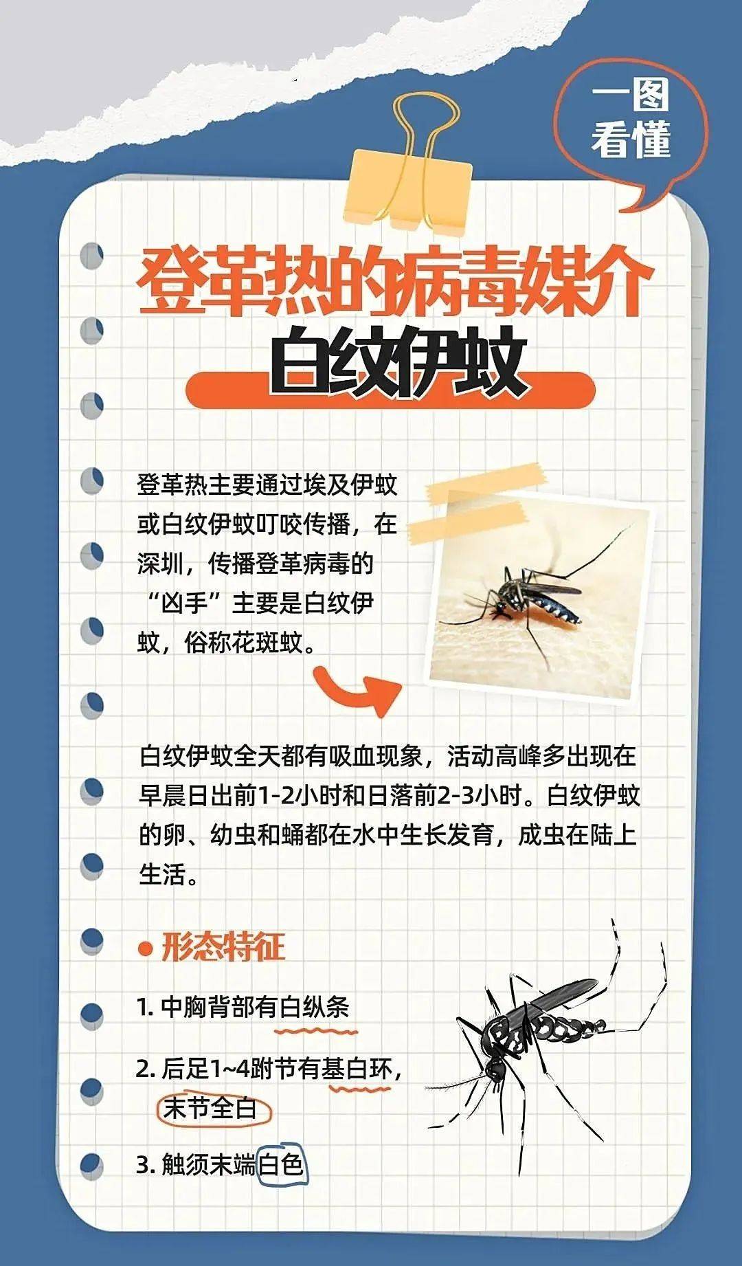 快来参与!事关每个洛江人