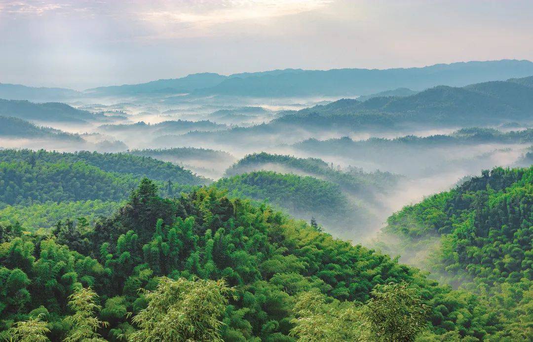 景区拥有多个景点——忘忧谷,翡翠长廊,海中海,七彩飞瀑,龙吟寺