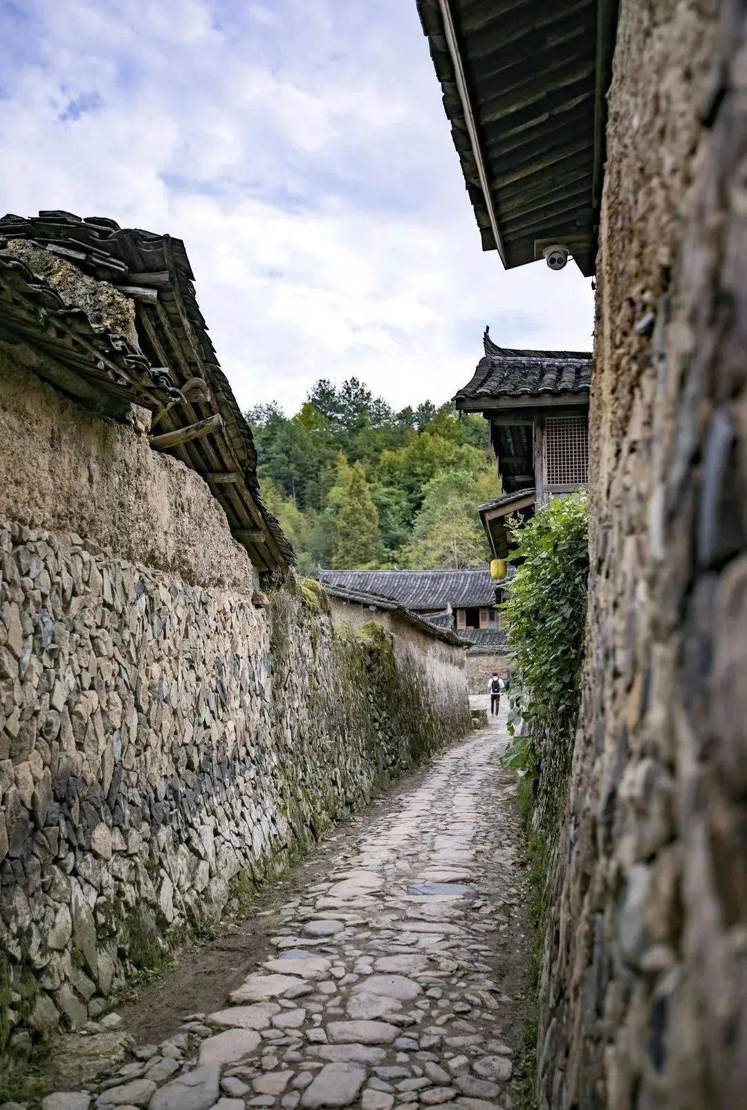 徐岙底历史悠久,是典型的家族村落,也是泰顺保存完整的古村落之一