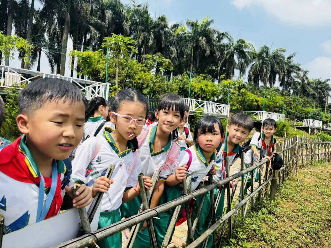 【龙海·德育】童心探自然 研学趣时光