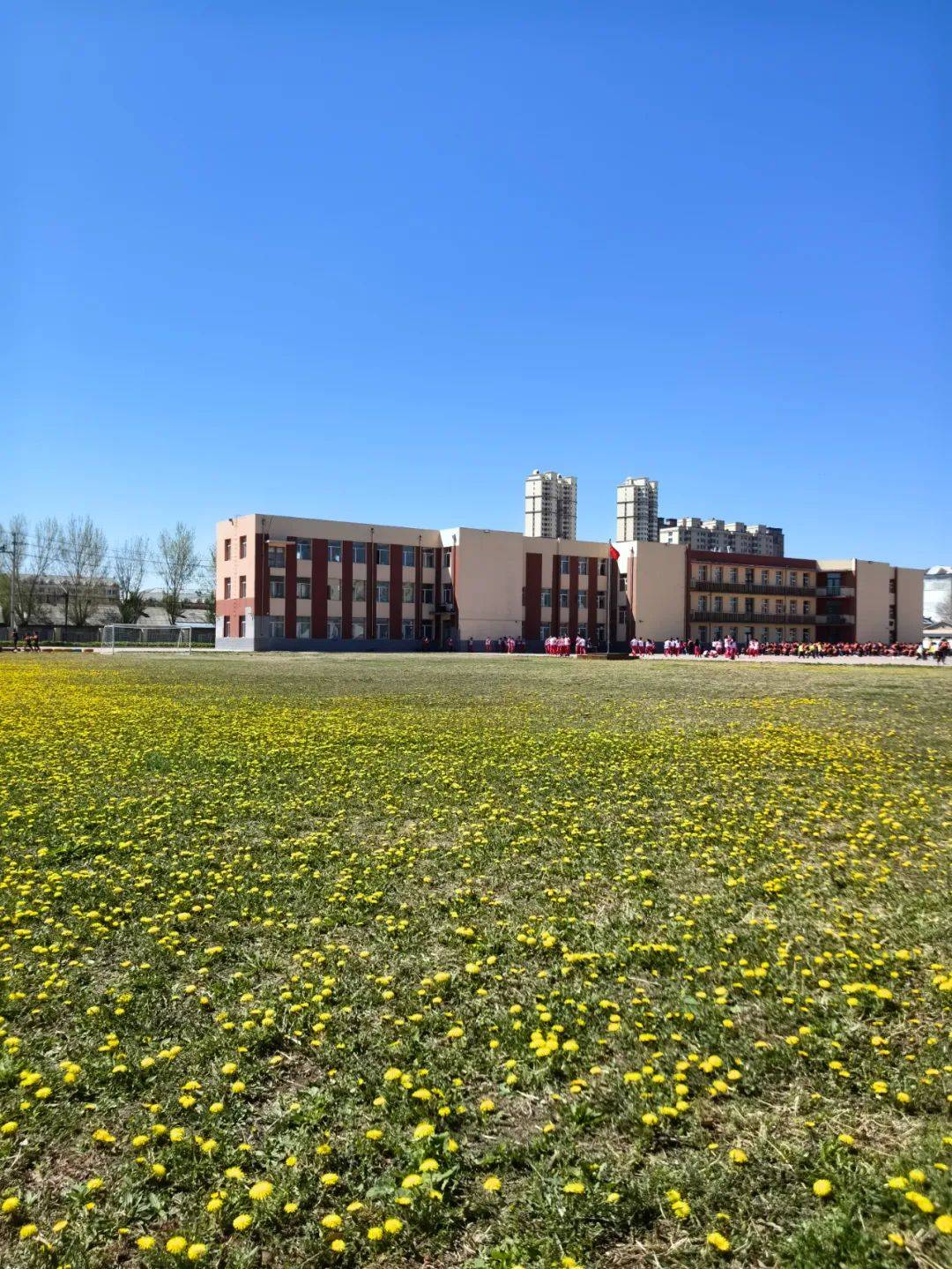 【兆麟校园】百年兆麟 香中有韵——兆麟小学春日景色