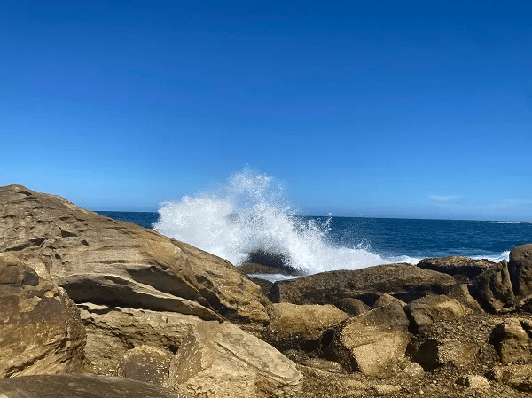 澳税务局启动追债行动 企业破产潮加剧 澳洲八大律所