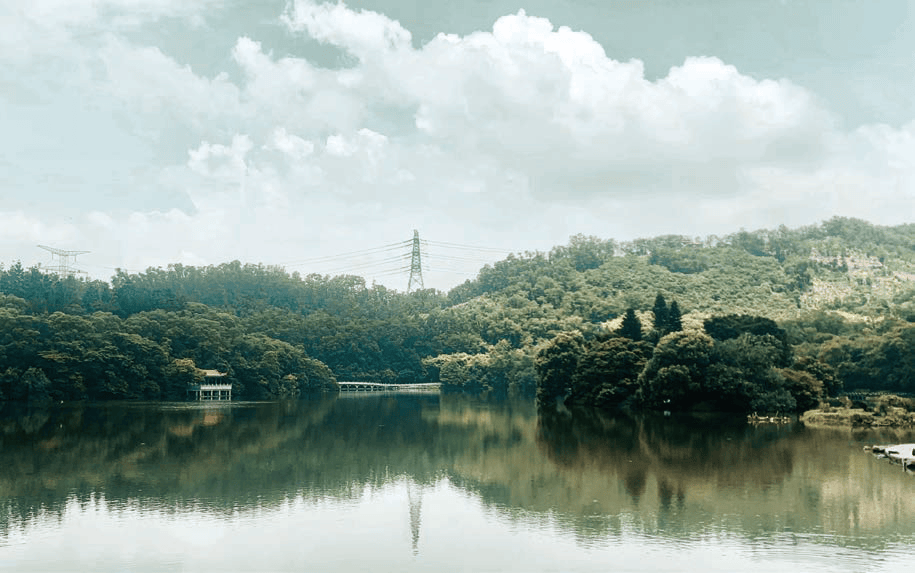 图10. 深圳仙湖植物园-雨后药洲3.2.2.