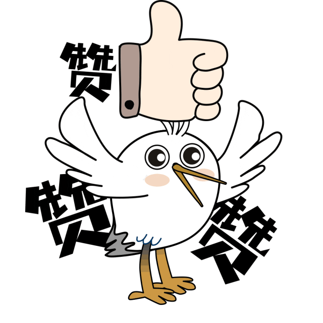 市县动态 | 闽南语情歌快闪,艺术市集,电影爵士乐……超嗨!