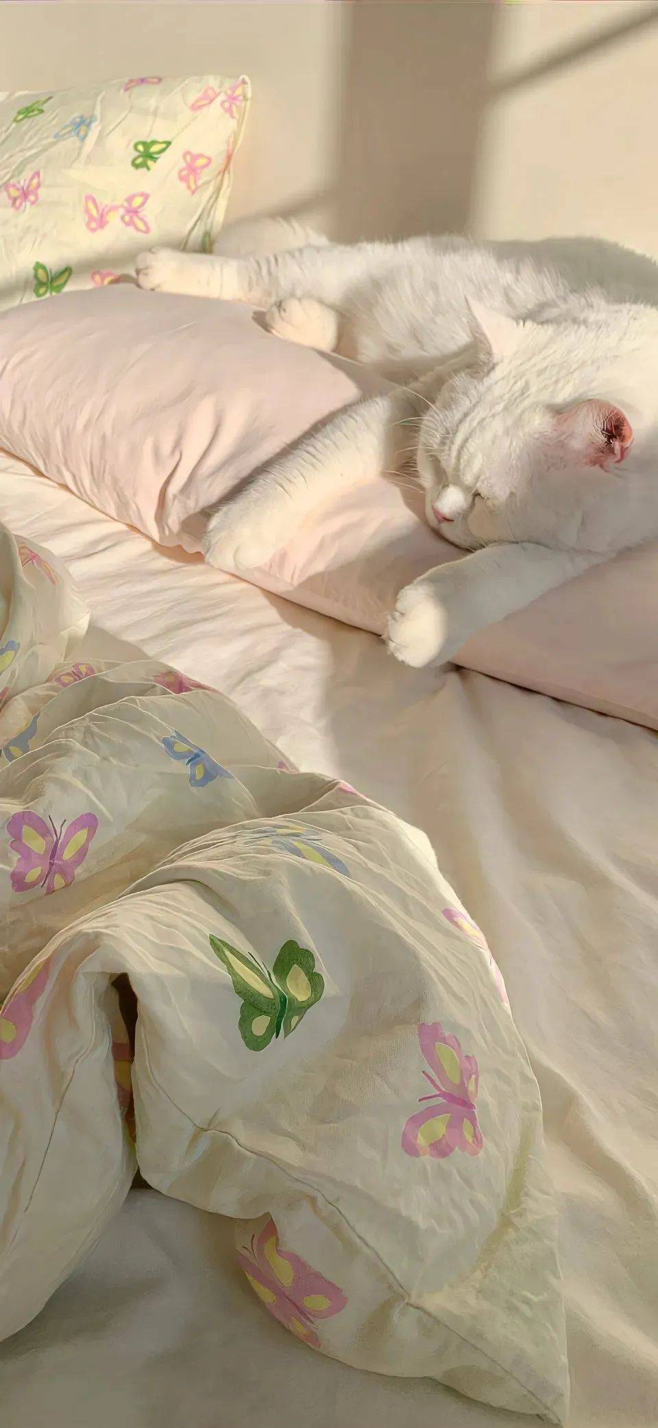 壁纸 | 超加分的高质量壁纸04 61556103