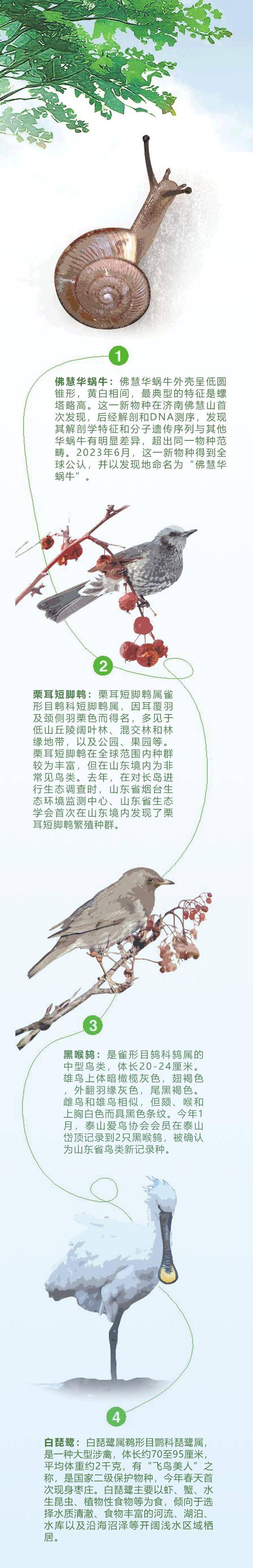 来百度app畅享高清图片这一新蜗牛物种,以济南佛慧山命名"这就是佛慧