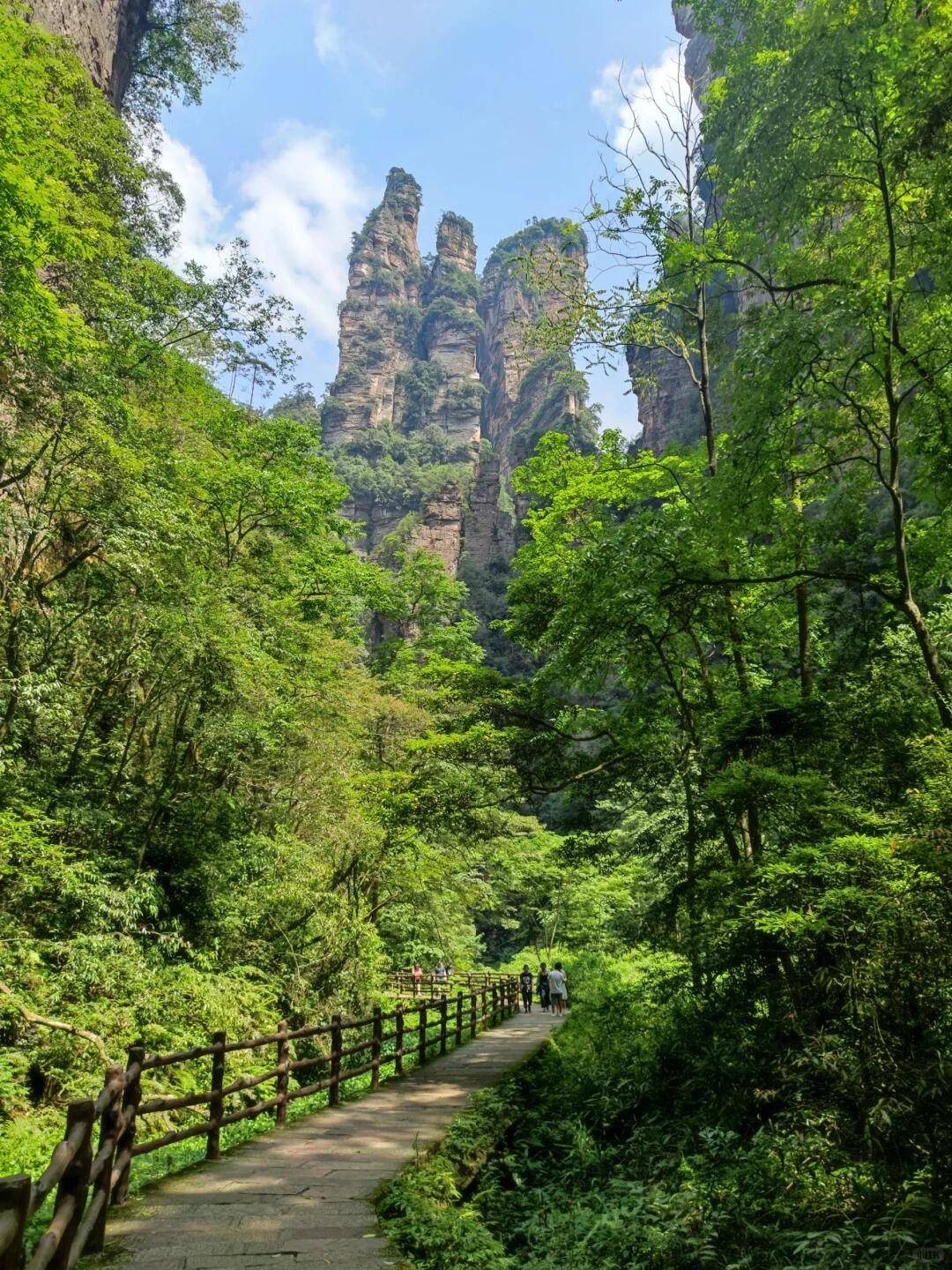 张家界4天3晚旅游攻略 ,千元真实攻略,或许不全但贵在真实!