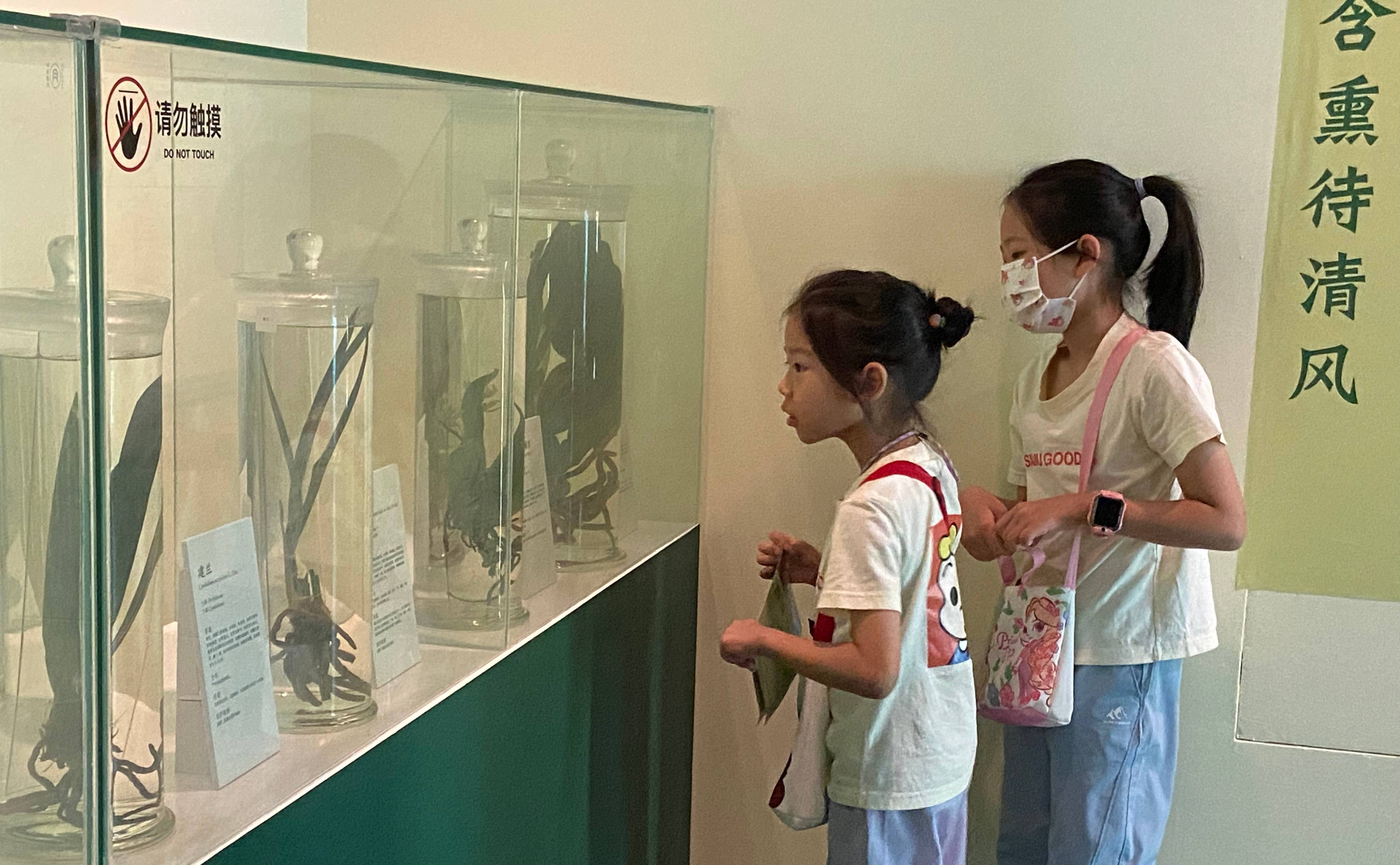 深圳博物馆举办三大展览 寓教于乐感受美育的魅力_熊猫_标本_植物