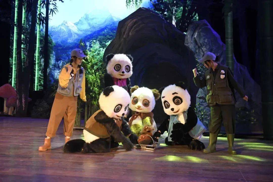 熊猫贝贝专栏图片
