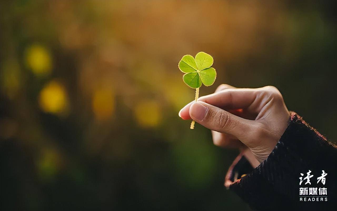 成年人最大的清醒:不要介入他人的因果