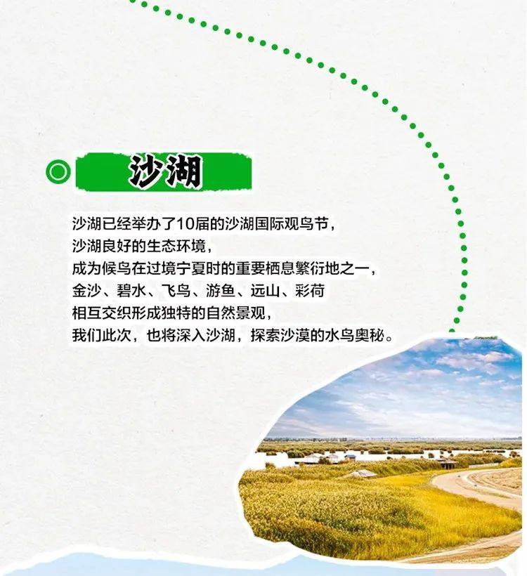 银川 中卫 贺兰山岩画 腾格里沙漠5天4晚休闲旅行_活动_费用_门 