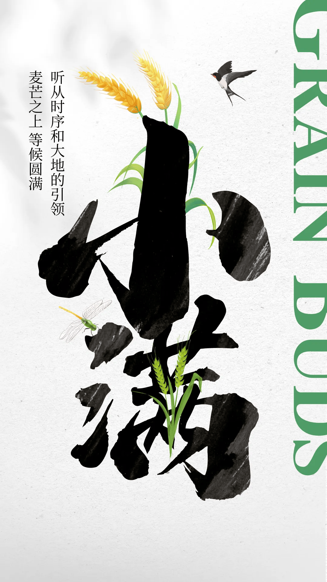 小满节气文案海报|小满初盈 静待丰收