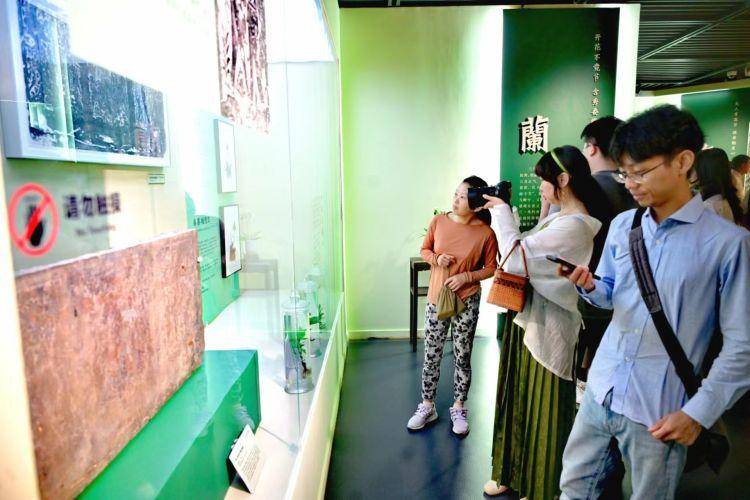 国际博物馆日 | "草木语:中古图像中的植物世界"展亮相深博,"南国草木