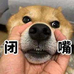 超犯贱的害羞涩涩表情包