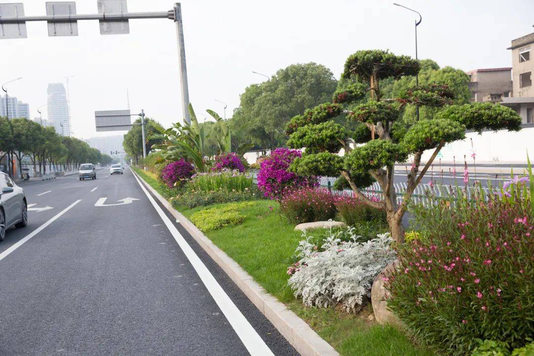 道路绿化带设计案例图片