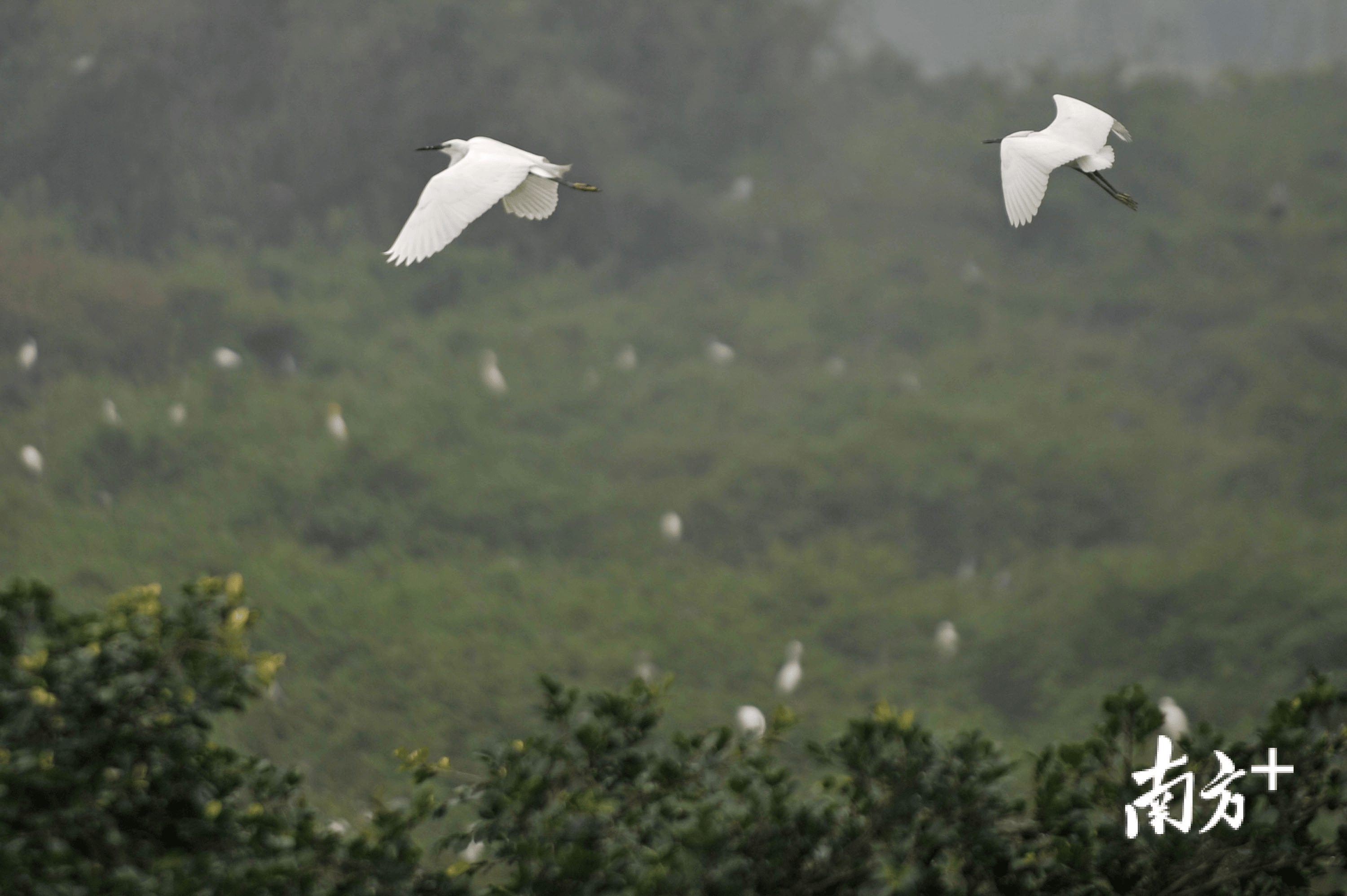 中国旅游日|4条佛系旅游专线,快速去"班味"!