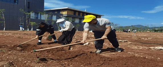 在劳动指导教师的指导下,师生们纷纷起拿起锄头,钉耙,铁锹,撮箕等劳动