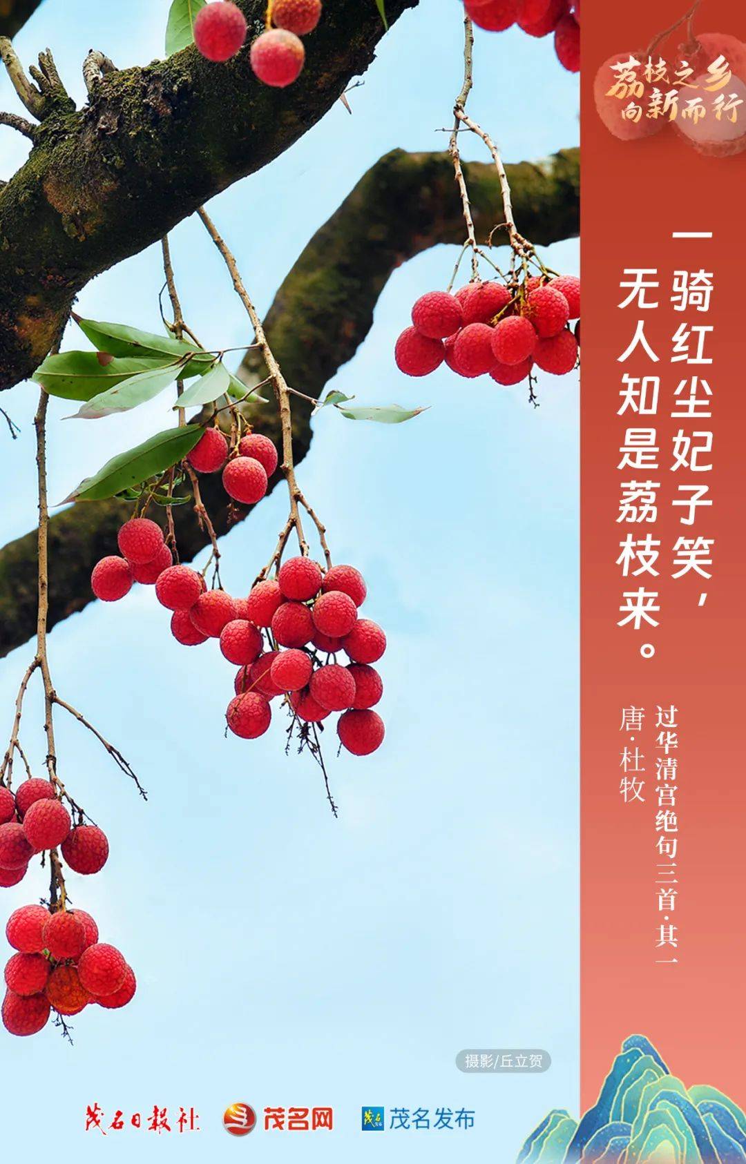 【52061我爱荔】夏日炎炎,啖一颗"诗词"荔枝