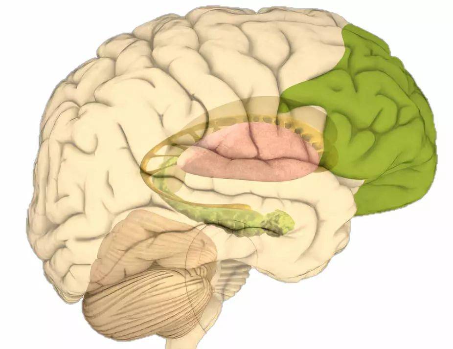 为什么每次和老婆吵完架,老公都能呼呼大睡?