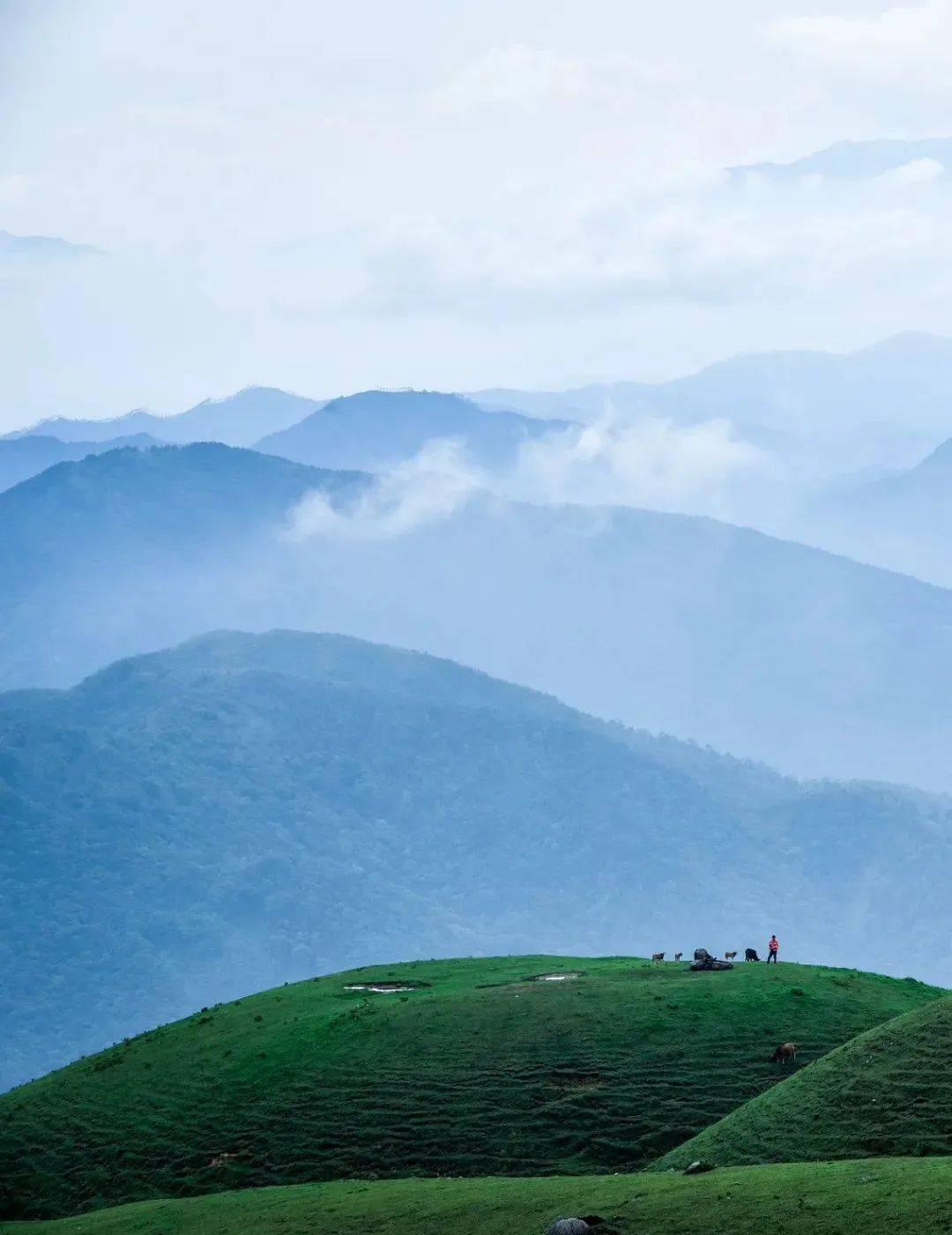 要"长"联系!两座"名城"的双向奔赴