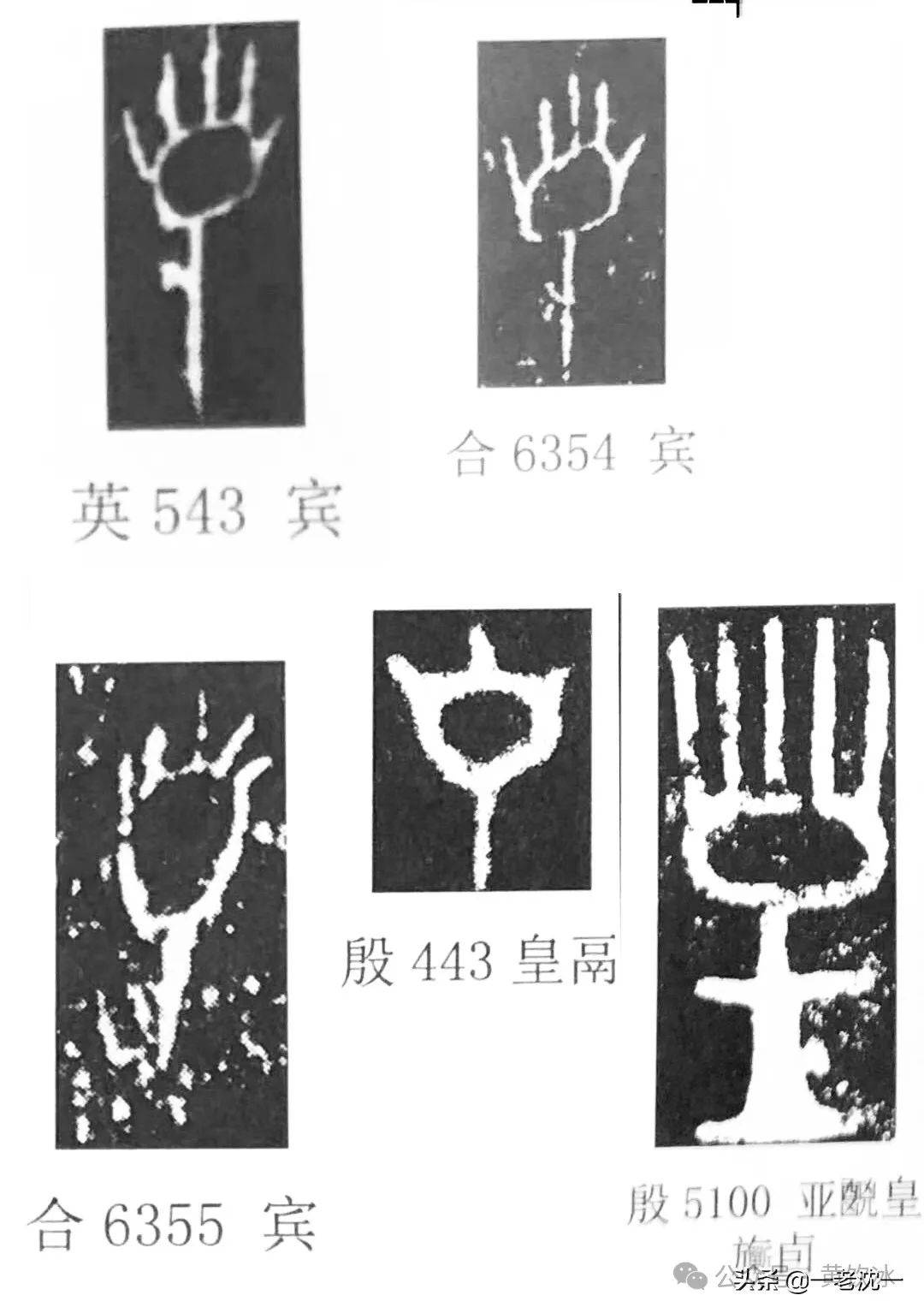 金文"昊",其下当是鸟甲骨文"昊".