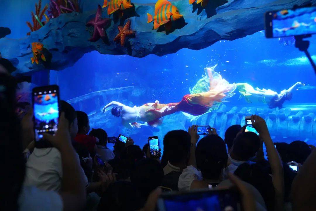 我的曲江是个盖世英雄,它会披着浪漫金身来接我_巧克力_西安_海洋