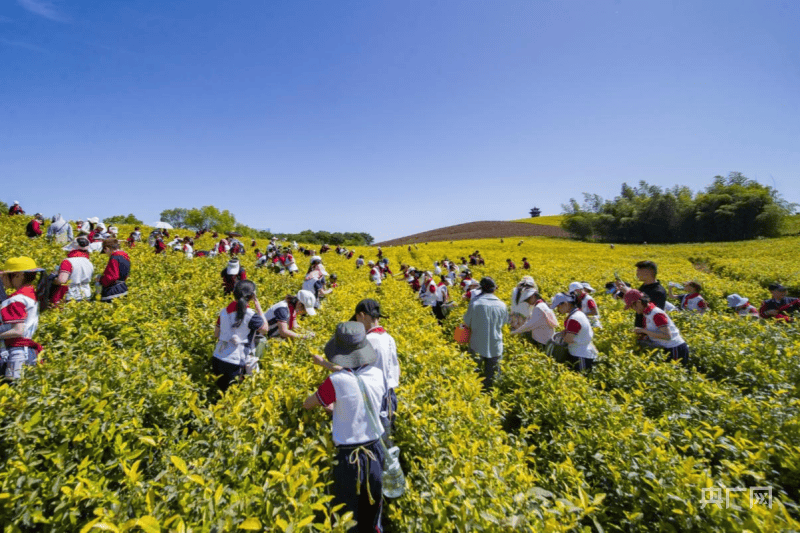 快手直播：澳门一肖一码100精准2023澳门-迪庆州文化和旅游局汛期安全出游提示  第4张