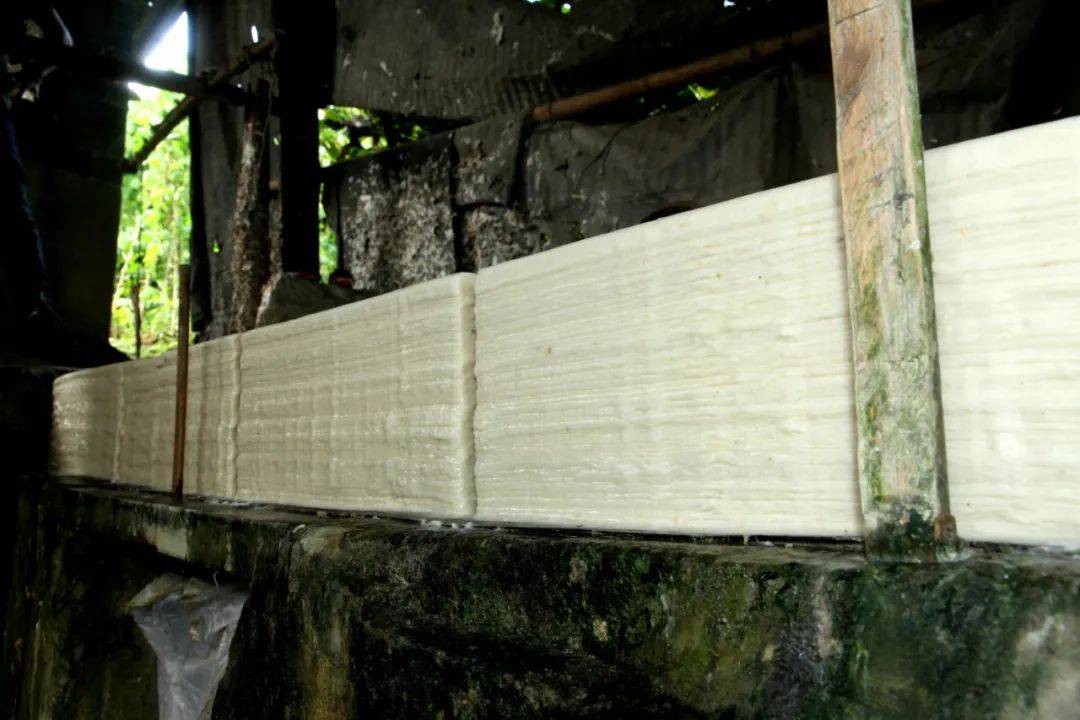 陈从忠 / 播州最后的古法造纸(散文)