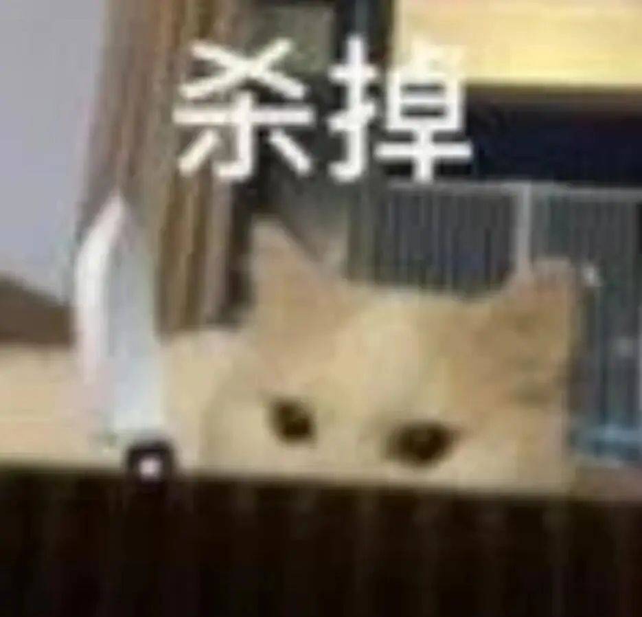 我同意丨第999期喵表情包