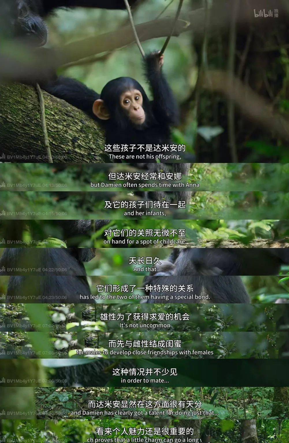 想上网找点刺激的恋爱,结果搜到了