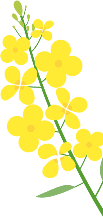 "廿载流光 荧耀征途"荧光夜跑系列活动完美落幕啦