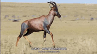 想上网找点刺激的恋爱,结果搜到了