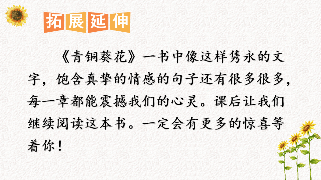 【课件】四年级语文下册 课文21《芦花鞋》