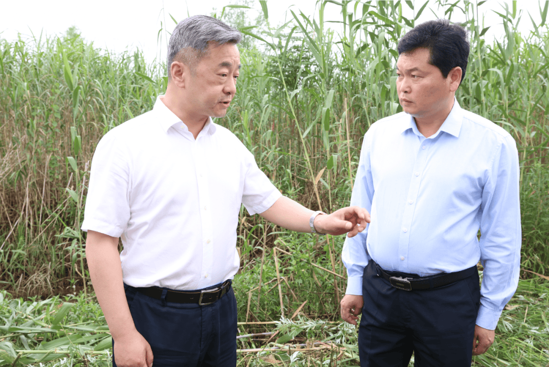 陈竞深入沅江市调研督导中央生态环境保护督察典型案例问题整改工作