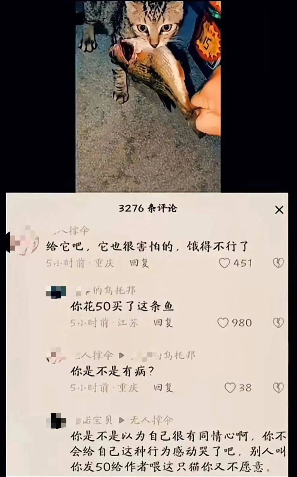"王婆说媒"最恶心一幕曝光,放过老实人吧!
