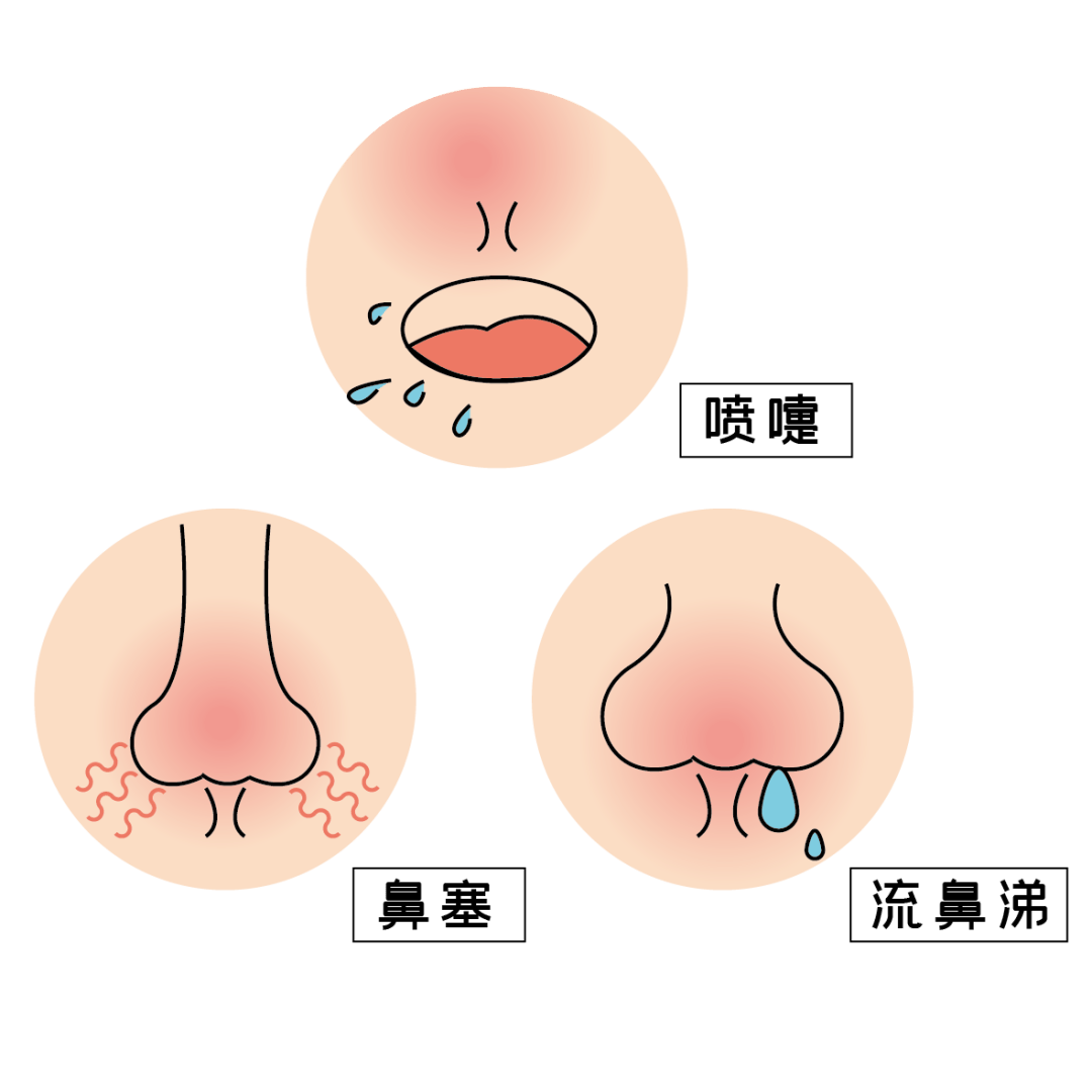 鼻子堵塞结构图图片