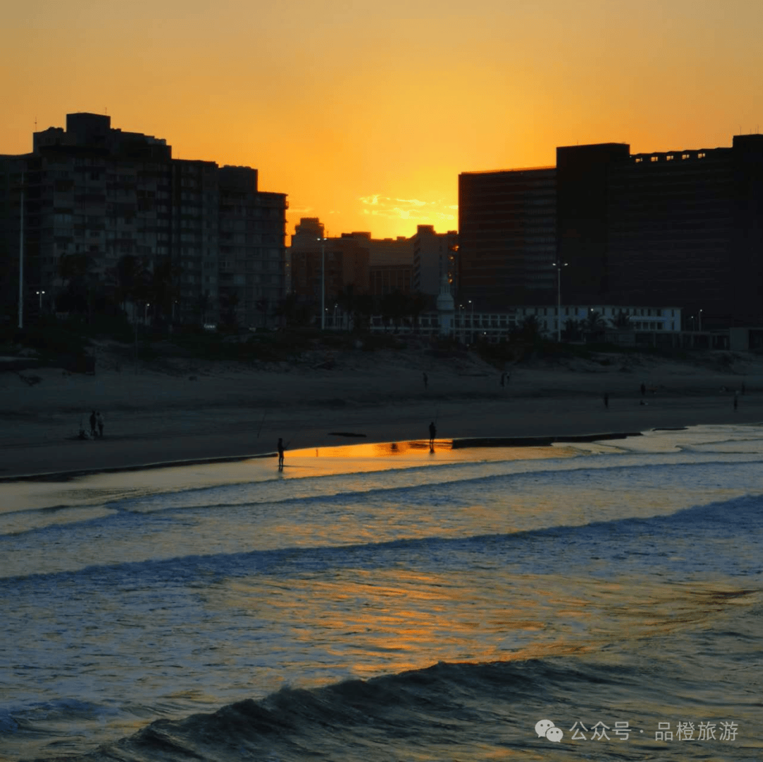 飞鹤联合多方发起 1000 天大脑发育科普行动，守护孩子无限潜能