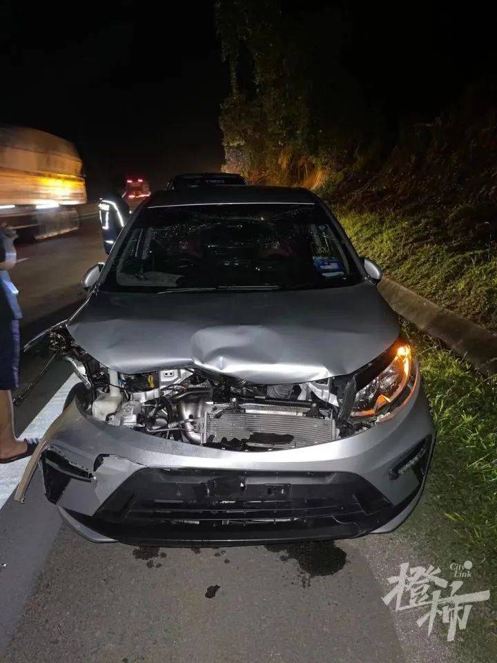 国外一男子开车撞死260斤老虎_搜狐汽车_搜狐网